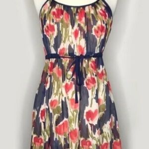 Anthropologie - The Souers Pond Reflection Silk Dress in a Vibrant Floral
